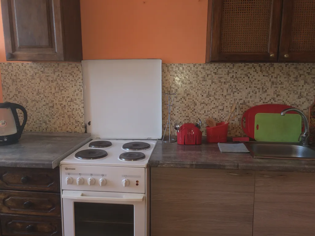 Квартира в центре города у Нижнего пруда - исторический центр