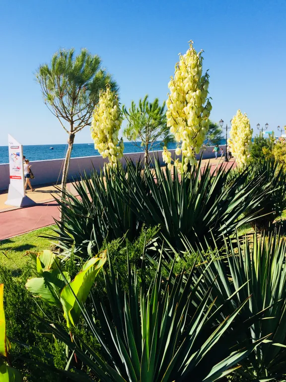 Квартира Квартира Уютные комнаты у моря — Сириус