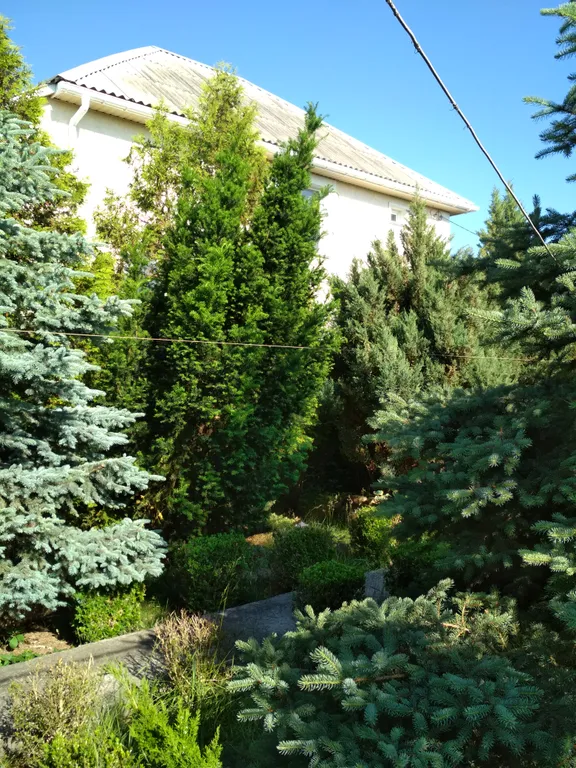 Уютный отдельный домик