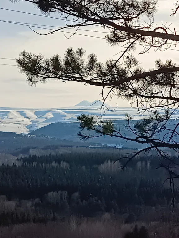 Апартамент в центре
