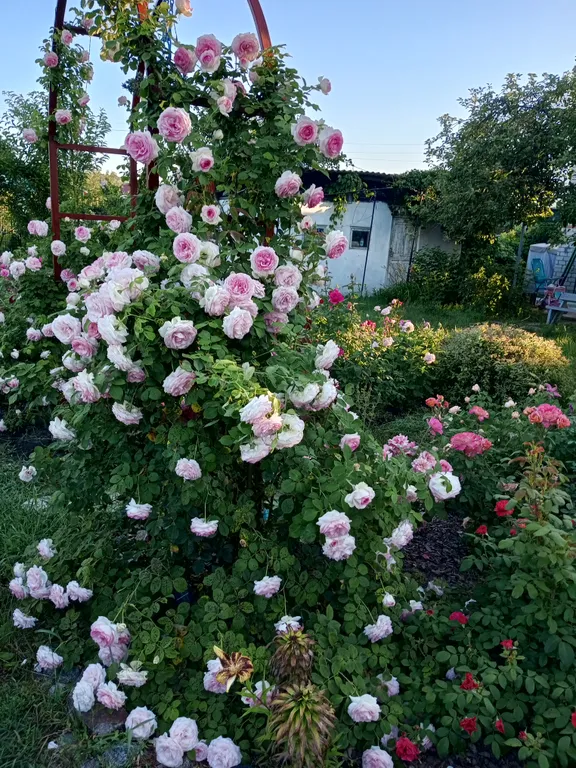 Уютная дача посуточно для семейного отдыха, ночлега