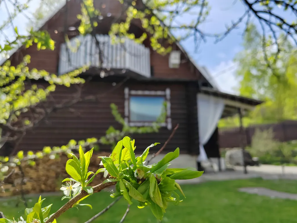 Коттедж для семейного отдыха Алтай-Горы