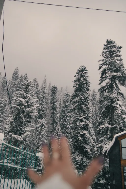 Новенький коттедж на большую компанию