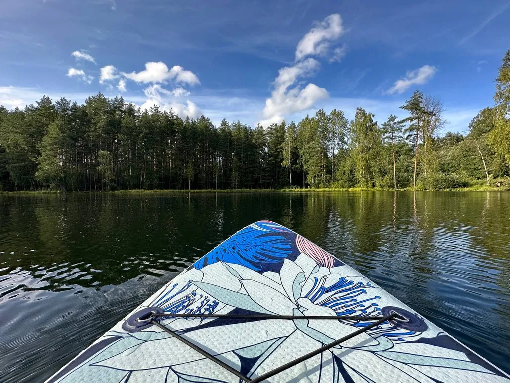 Коттедж Загородный дом с баней на дровах — Санкт-Петербург