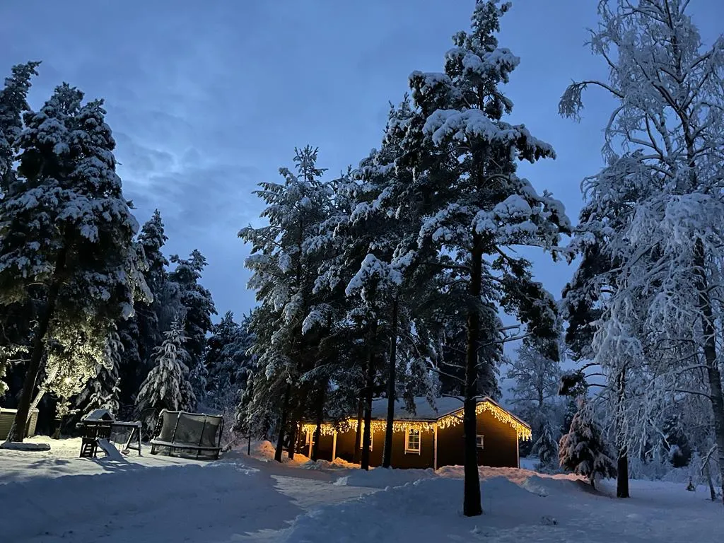 Haavejärvi - озеро мечты! Уютный дом на берегу озера в сосновом лесу