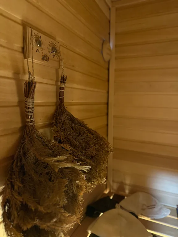 Дом-баня с бассейном и чаном