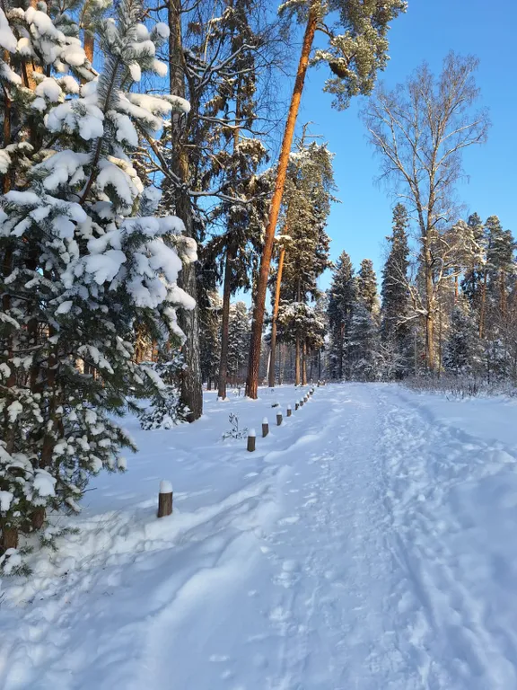 Барнхаус в лесу с голубой гостиной