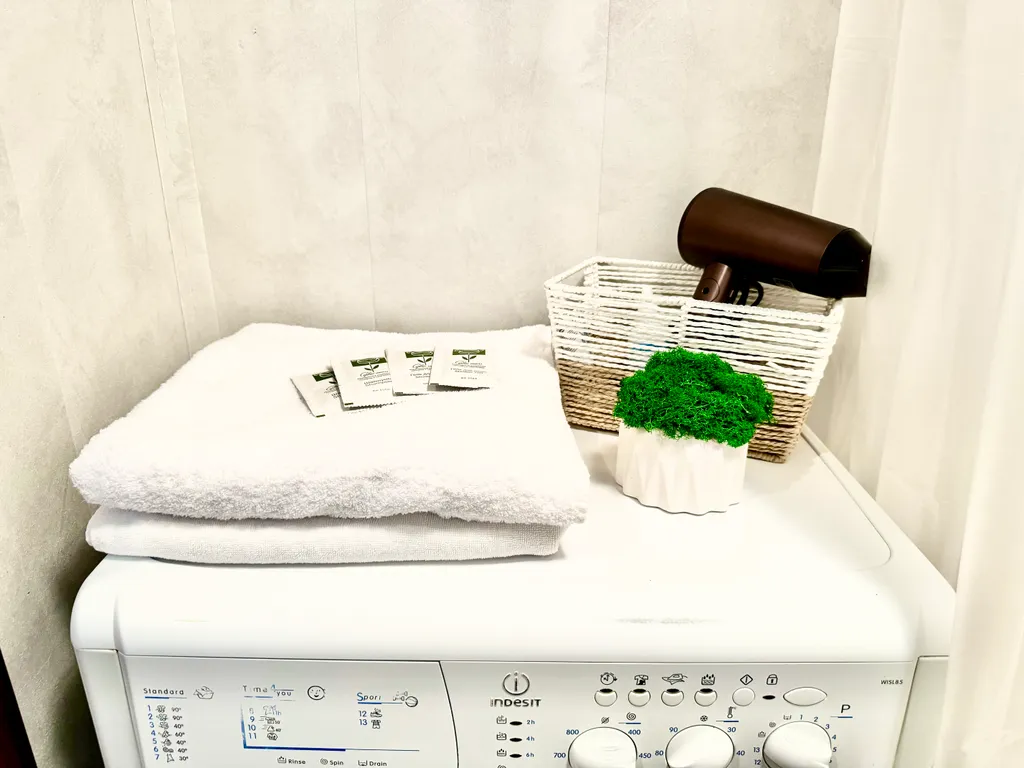 Уютная квартира на Владимирской