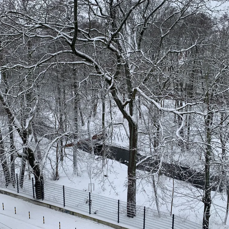 Комната в необычной квартире с видом на ручей и деревья (см. описание)