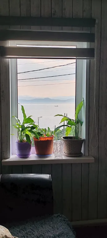 Домик с видом на море