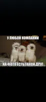Ляйсан Исламова