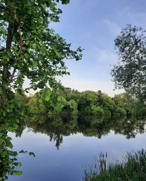 Дом у пруда