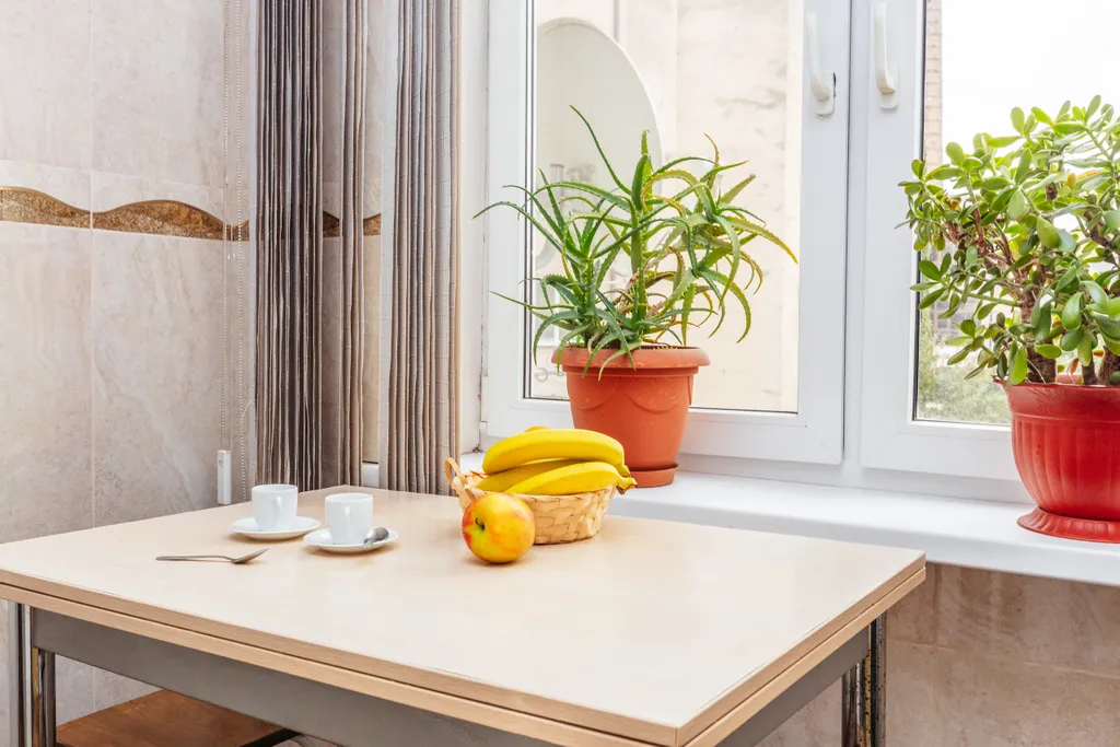 Квартира Квартира в центре города — Сухум