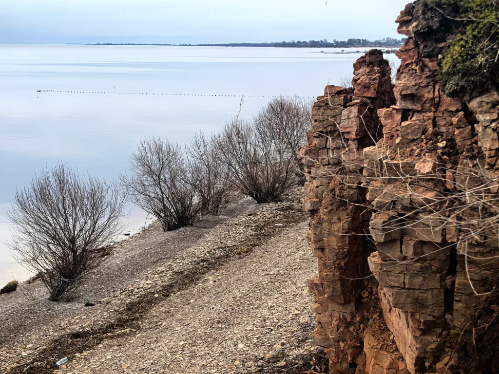 Уютный дом-студия