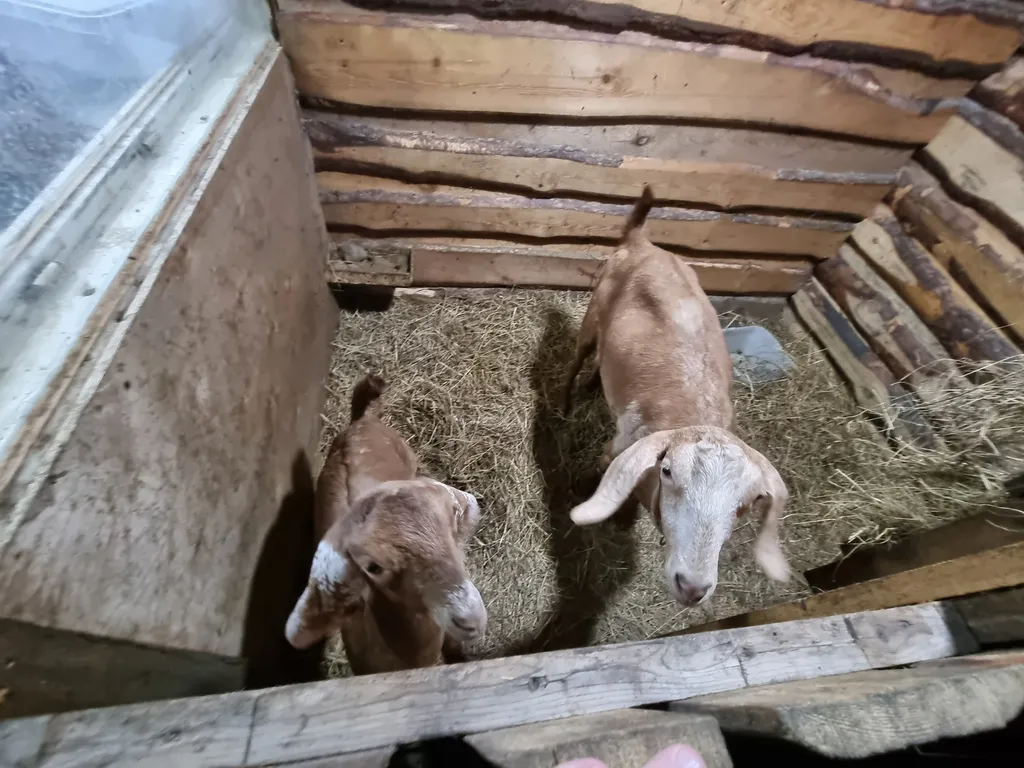 Коттедж Домик в деревне — Соколова