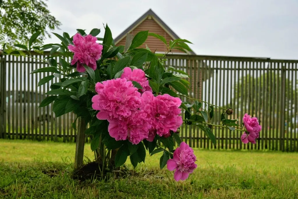 Уютный Двухэтажный коттедж с шикарной Баней на дровах