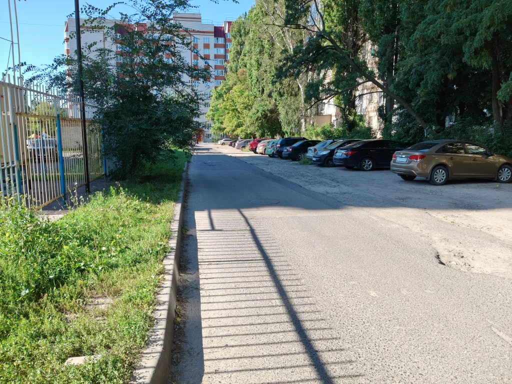 2 серый кот ждёт вас в гости 2