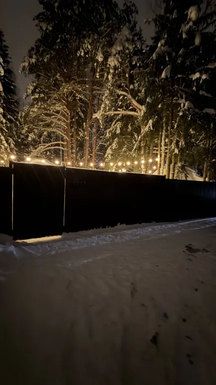 Дом для двоих в сосновом лесу