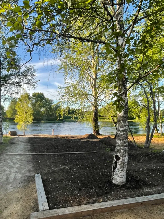 Отдых в тишине у реки