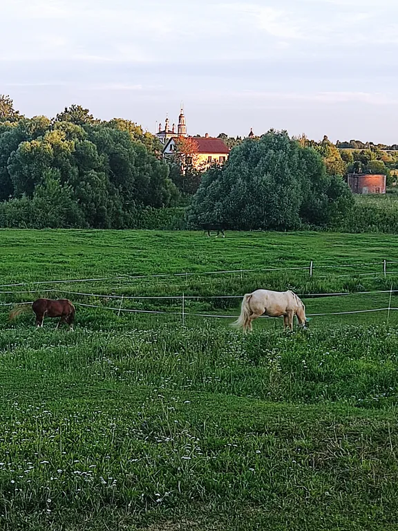 Дом Место силы