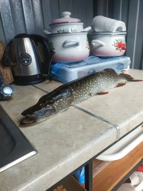 Уютный дом на берегу озера с баней на дровах