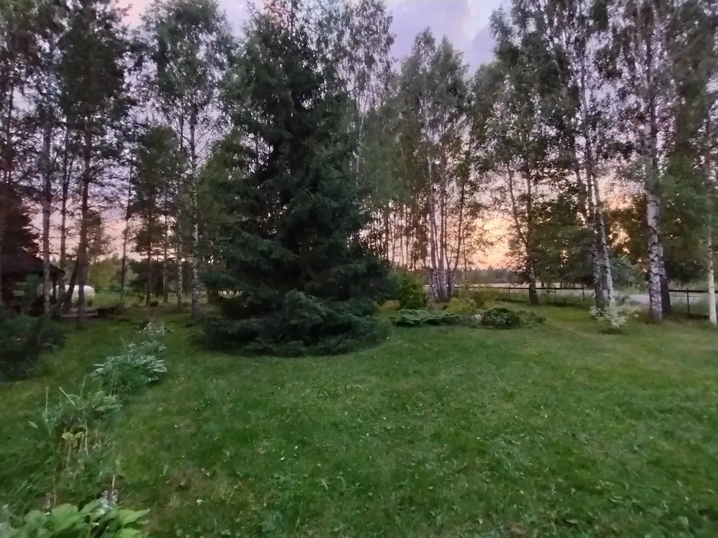 Дом на большом лесном участке