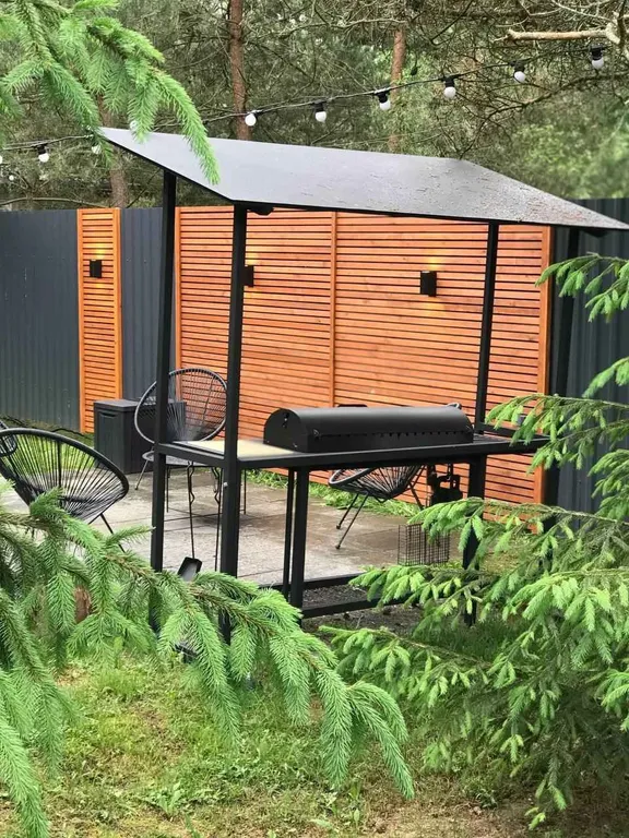 Треугольный дом в 25км от Минска с баней и горячей купелью в лесу