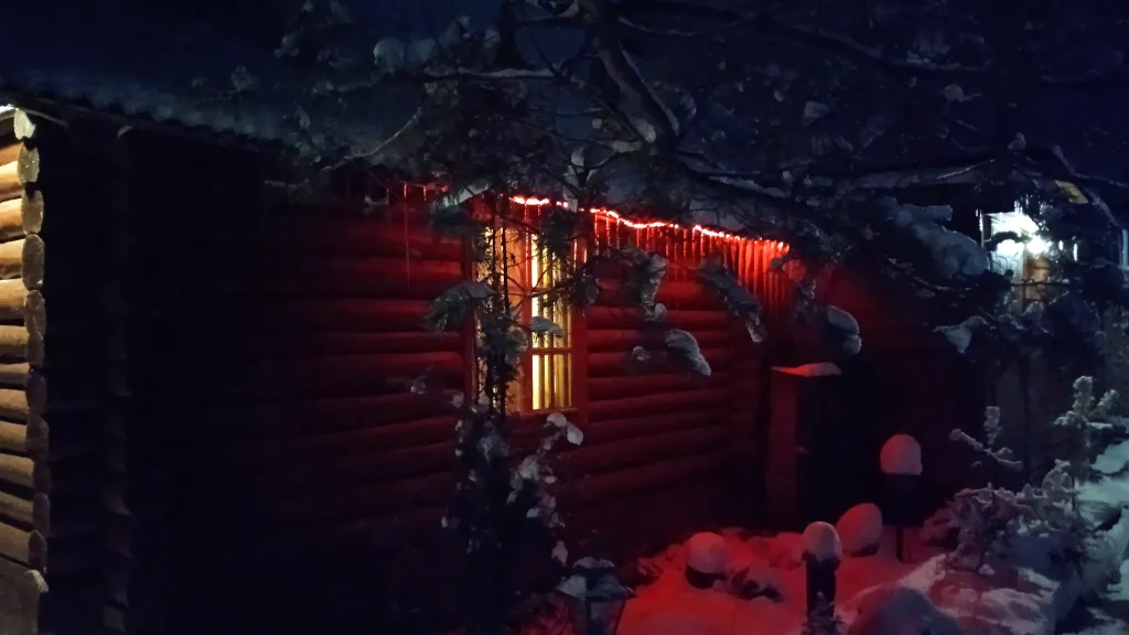 Охотничий дом с медведем на Ладоге