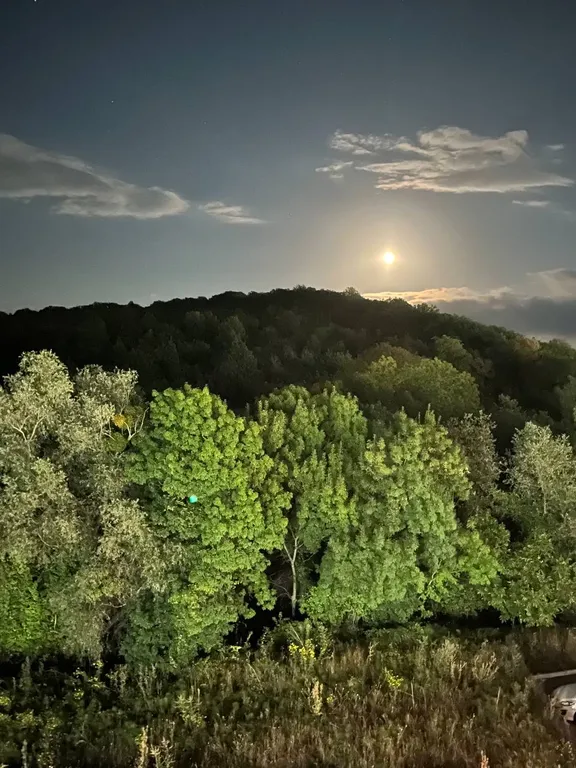 1-комнатная квартира на море с бассейном