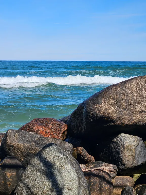 Квартира 1-комнатная Квартира — Светлогорск