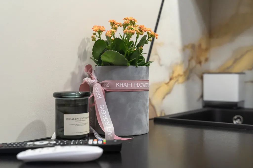 Квартира Квартира Новая студия с видом на реку Фонтанку и всем необходимым для комфорта! — Санкт-Петербург