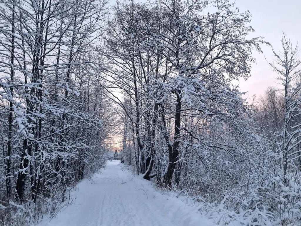 Загородный дом в национальном заповеднике