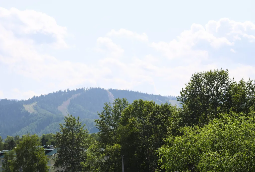 Уютная квартира с прекрасным видом на Гору Соболиную