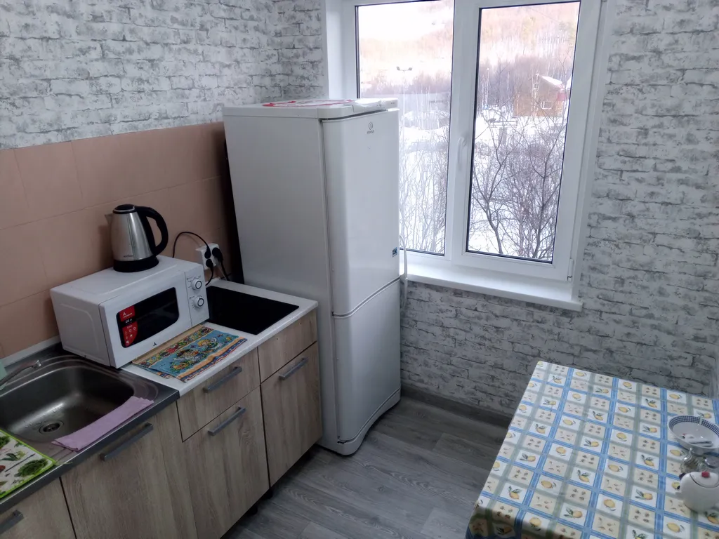 Апартамент с видом на горнолыжный склон