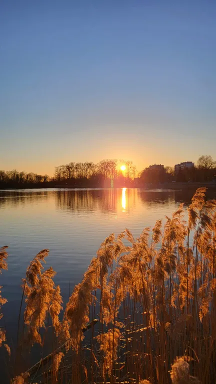Сказка в беловежской пуще, отдельный дом без соседства, баня, озера