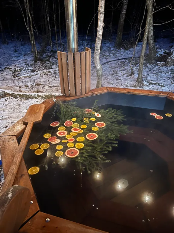 Дом O'Pushka space в березовом лесу