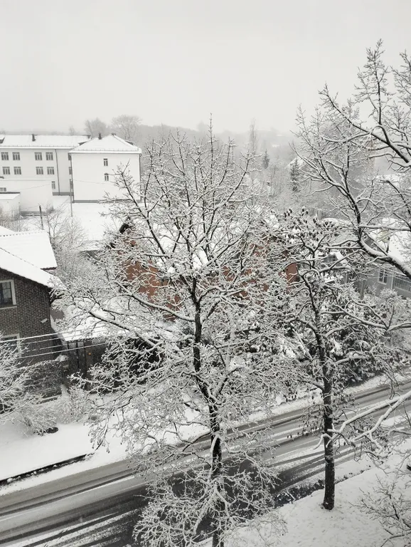 Квартира Уютная квартира рядом с Кремлёвским парком — Великий Новгород