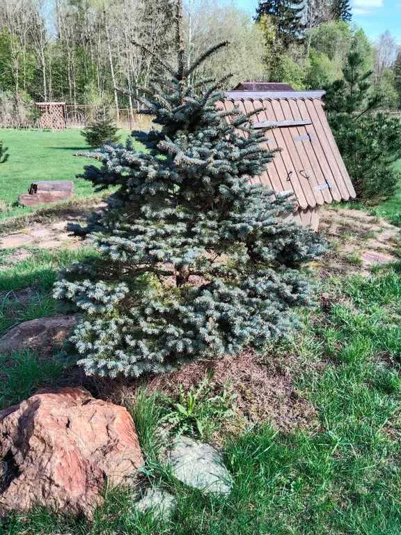 Уютный дом в 37 км от Клина