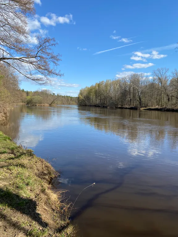 Прекрасная квартира в центре соснового бора