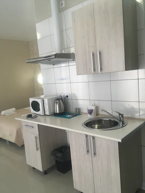 Квартира Просторная комната-студия в Олимпийском парке — Сириус