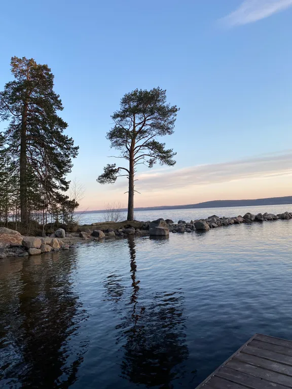 Домик в лесу с потрясающим видом из окна с банным комплексом
