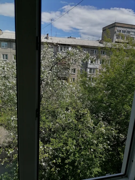 Квартира Уютная квартира в центре — Красноярск