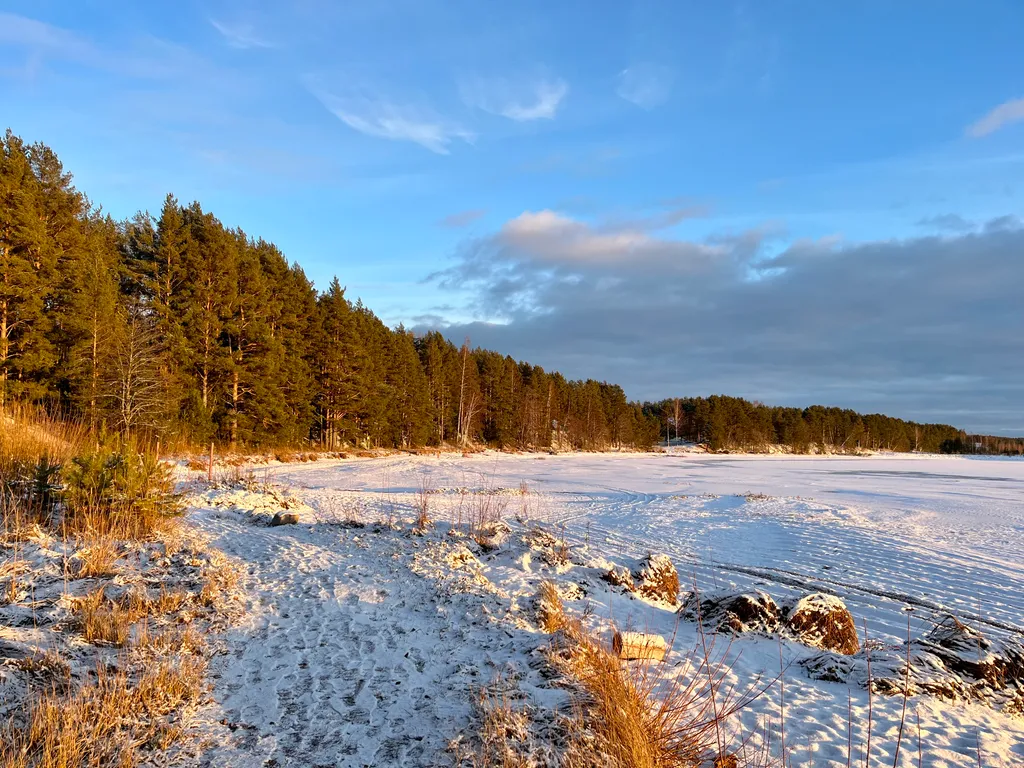Коттедж Дизайнерский коттедж на берегу озера Волго на Селигере — Турбаза Чайка