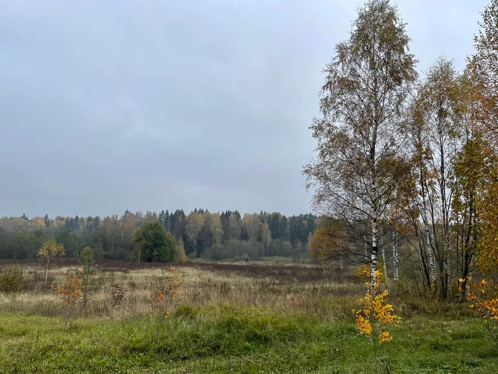 Коттедж 1-комнатный Дом — Шаховская