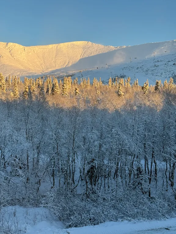 Уютная трехкомнатная квартира с видом на горы — аренда посуточно в Кировск