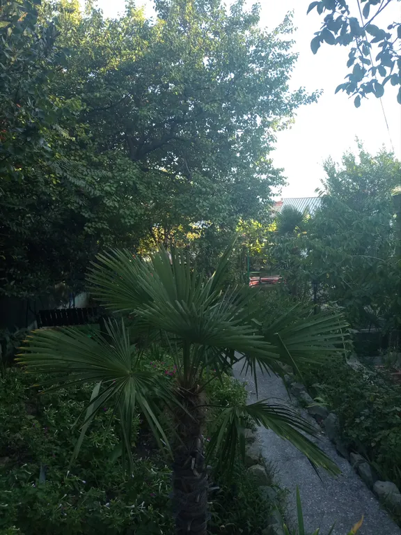 Двухкомнатная квартира в частном секторе у моря Курорт Ялта-Мисх