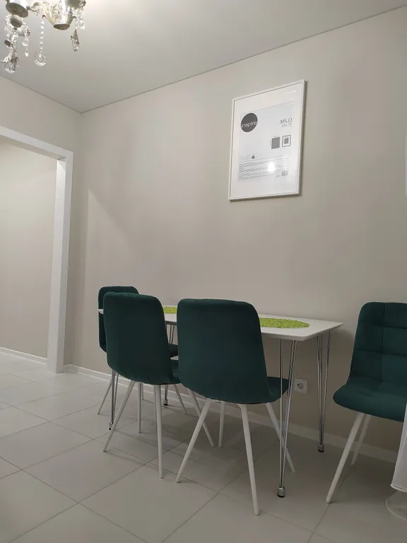 Центр города, везде пешком! новый дом с новым ремонтом.