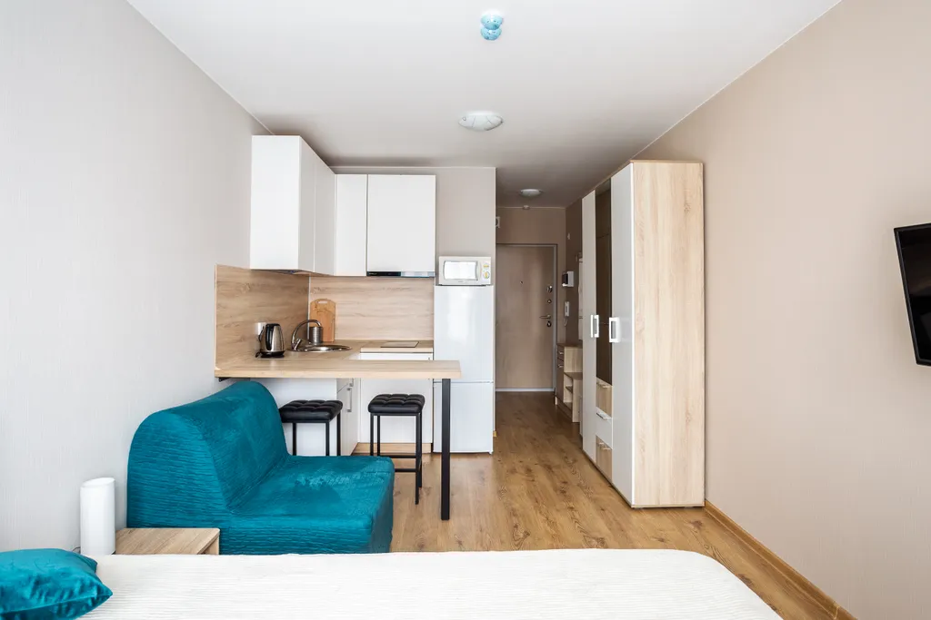 Студия у метро Парнас