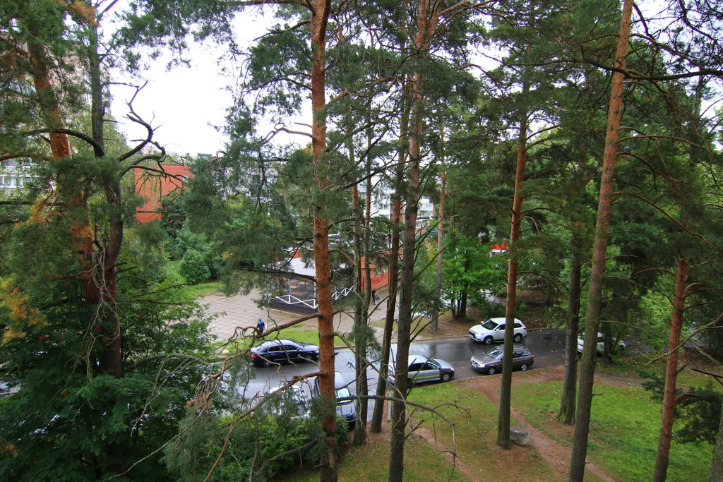 Квартира полулюкс