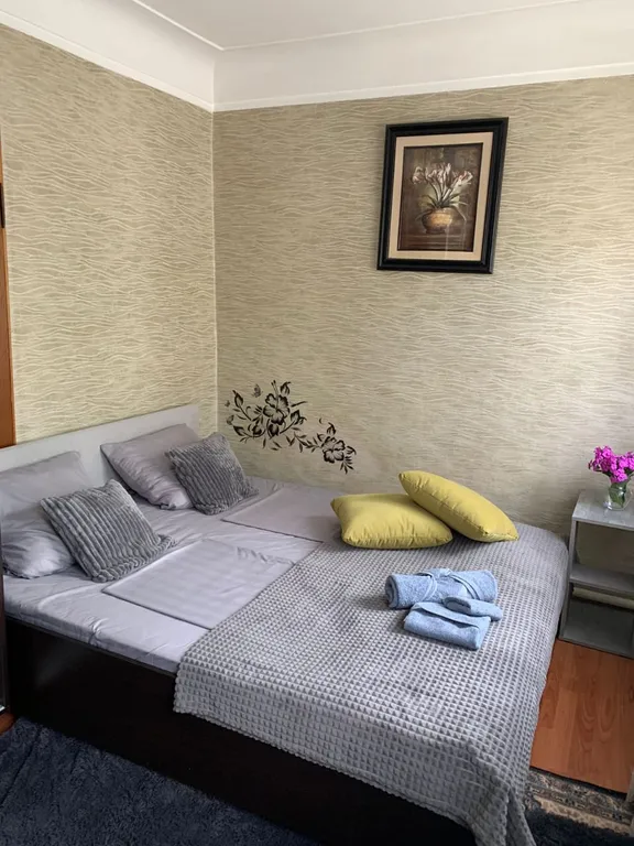 Уютная квартира в центре города — аренда посуточно в Ессентуки